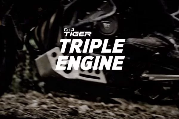 New Tiger 2018