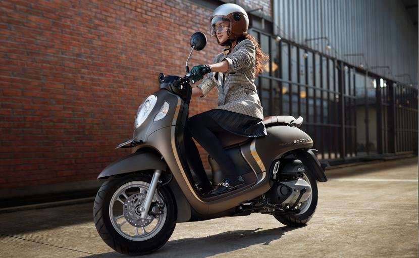 Scoopy Stylish Brown 2020