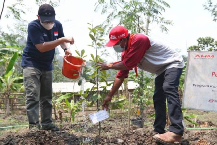 Menanam Pohon