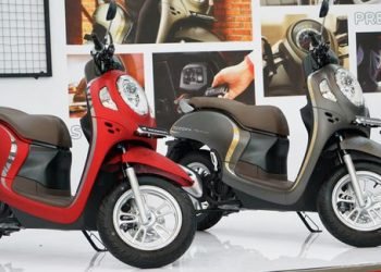 Scoopy 2022