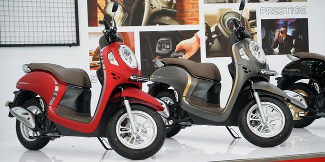 Scoopy 2022