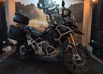 Triumph New tiger
