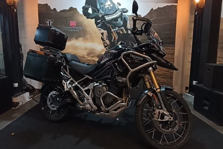 Triumph New tiger